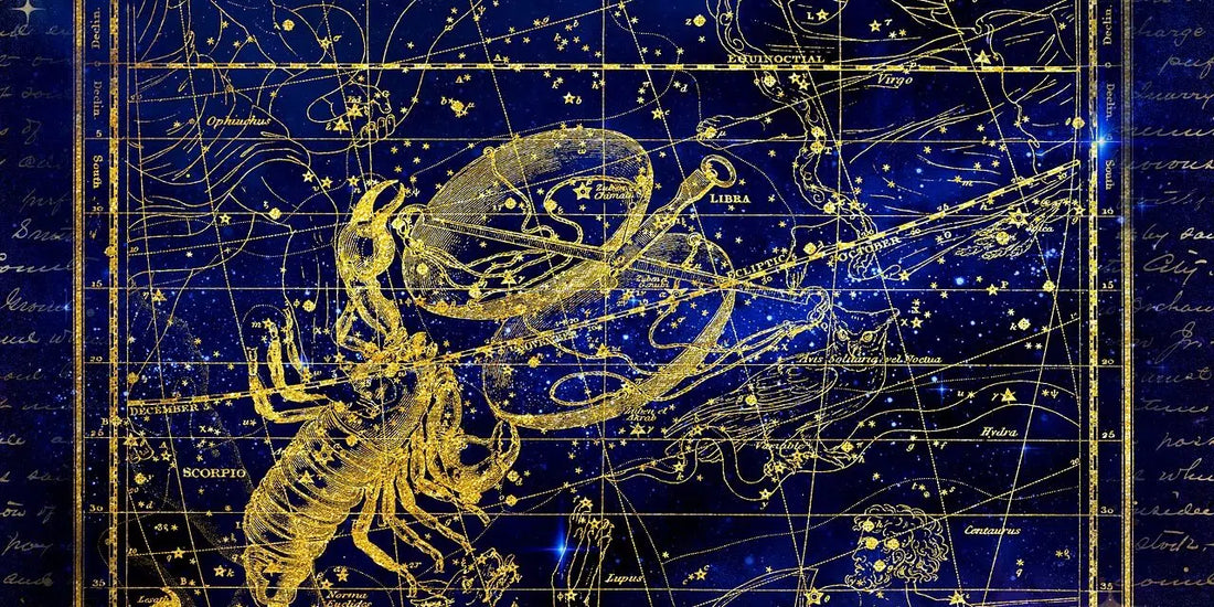 SEGNI ZODIACALI CON ASCENDENTE IN SCORPIONE