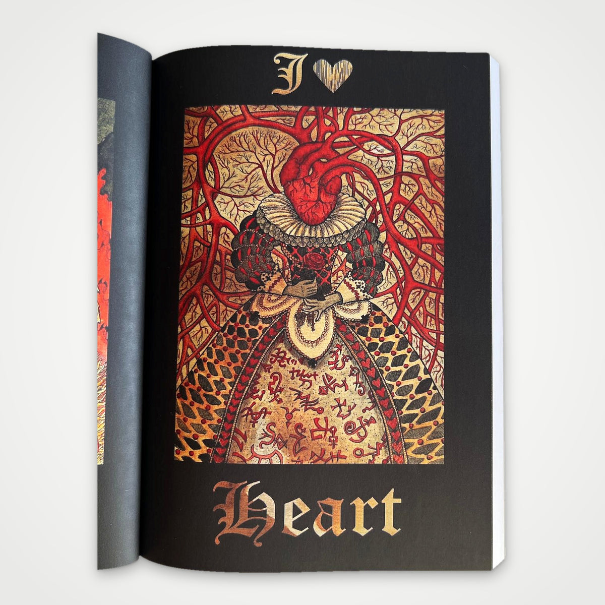 Inside the Gothic Mysteries Lenormand Book: full-page illustration of the Heart card by Vera Petruk