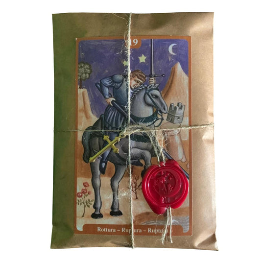 Medieval Oracle - Limited Editions - 2023 Silver Cat Editions